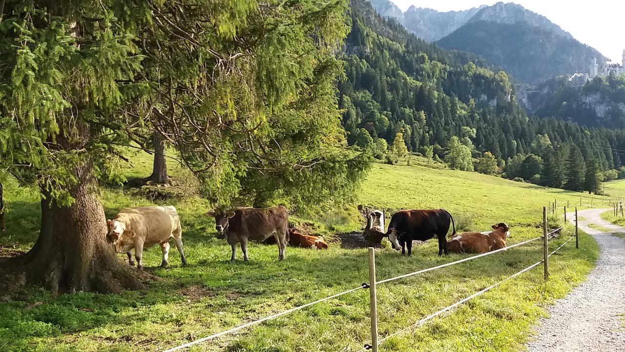 Hotel Kleiner Koenig Schwangau Exteriör bild